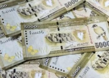 Emergency Cabinet Meeting Announces Monthly Allowance of 3000 for Pensioners; Anticipating Presidential Election Date Announcement Today I  Sri Lanka Latest News