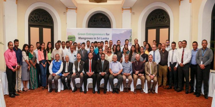 COYLE  Pioneers Green Entrepreneurship and Mangrove Restoration in Sri Lanka
