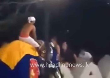 Thirteen Injured in Commotion as Elephant Falls During Esala Perahera in Kataragama