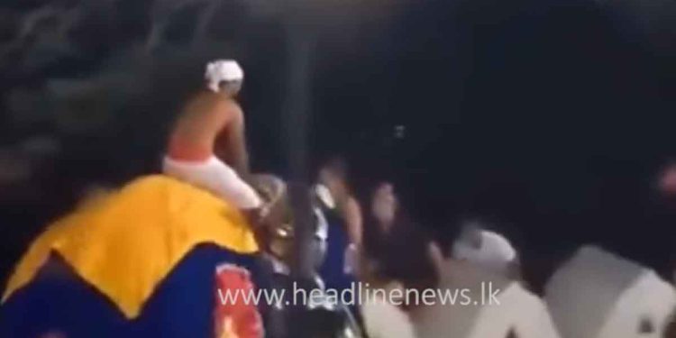 Thirteen Injured in Commotion as Elephant Falls During Esala Perahera in Kataragama