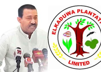 Alkaduwa Chairman Faces Trouble After Paying 1700 Rupees to Plantation Workers Last Month, Circular Issued Against Continued Payment I Sri Lanka Latest News