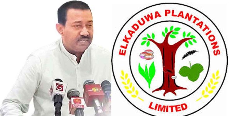 Alkaduwa Chairman Faces Trouble After Paying 1700 Rupees to Plantation Workers Last Month, Circular Issued Against Continued Payment I Sri Lanka Latest News