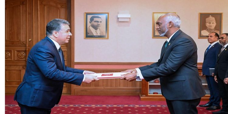 Ambassador of Türkiye presents credentials to the President