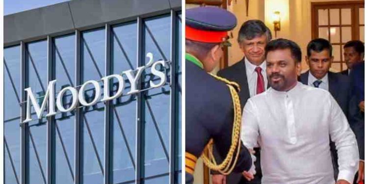Moody’s Optimistic About Sri Lanka’s Reform Agenda Under New President Anura Kumara Dissanayake