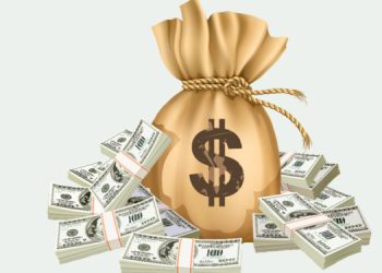 Record Borrowing: Government Accumulates 6.515 Trillion Rupees in 8 Months