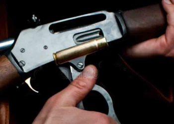 10 Days to Vote: 215 MPs Granted Repeater Shotguns for Personal Security