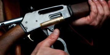 10 Days to Vote: 215 MPs Granted Repeater Shotguns for Personal Security