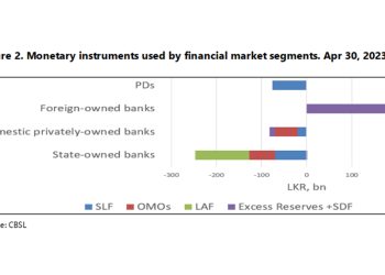 Sri Lanka Primary Dealers Relying Heavily on Central Bank Credit: IMF Report