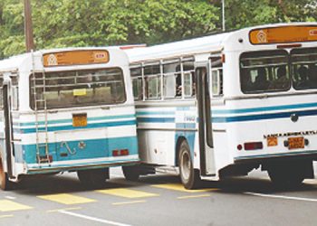 Public Transport Resumes: Light Vehicle Imports Set for Next Year in Three Phases