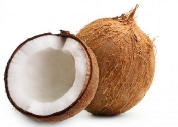 Coconut Cultivation Board Launches Mobile Sale of Subsidized Coconuts Amid Price Surge
