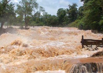 Flooding in Vavuniya Submerges 100 Acres of Paddy Fields, Authorities Work to Repair Breached Tank Embankment