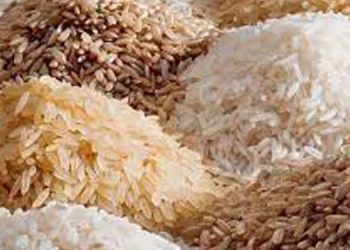 Lak Sathosa Calls for Tenders to Import 70,000 Metric Tons of Rice Ahead of the Festive Season