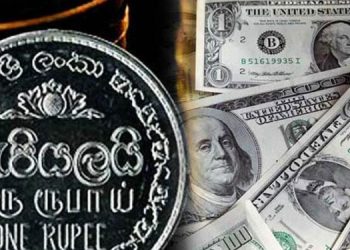 Sri Lankan Rupee Strengthens Against Major Currencies, Yet Citizens Await Benefits