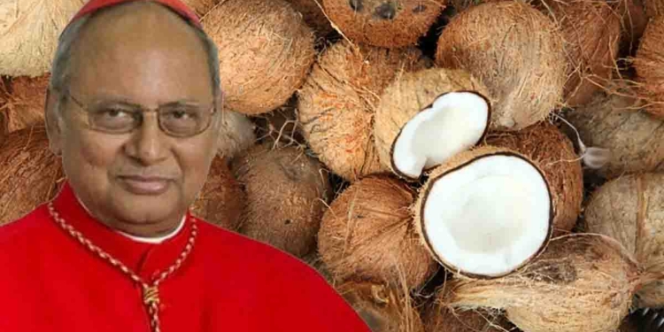 Civil Society Urges Free Distribution of Coconuts from Church Plantations Amid Difficult Times