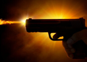 Sri Lanka Records 101 Shooting Incidents in 2024: Police Implement New Measures to Combat Violence