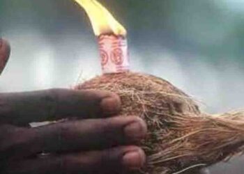Rising Coconut Prices Lead to 90% Drop in Offerings at Kataragama Temple and Other Shrines Across Sri Lanka