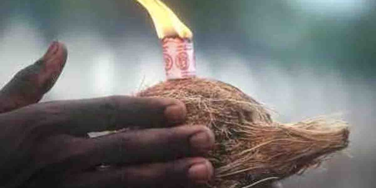 Rising Coconut Prices Lead to 90% Drop in Offerings at Kataragama Temple and Other Shrines Across Sri Lanka