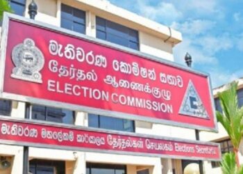 Local Government Election Date to Be Announced After Act Amendments, Says Election Commission