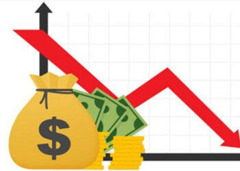 Government Revenue for 2024 Falls Short: Expert Warns of Rising Borrowing Needs Amid Budget Deficit