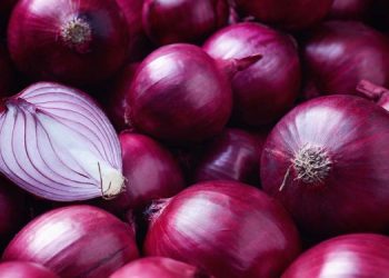 Government Slashes Commodity Tax on Imported Large Onions to Rs. 10 per Kilogram
