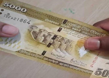 Kidney Patient Allowance Increased to Rs. 10,000: Ministry Debunks Rumors