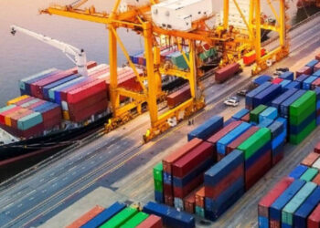 Customs Officers Allege Release of 323 Uninspected Red-Labeled Containers, President Resigns in Protest