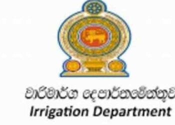 Assistant Engineering Officers of Irrigation Department Launch Trade Union Action Over Promotion Issues