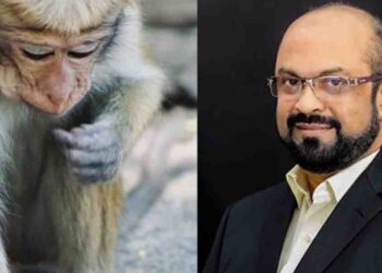Monkey Causes Power Outage at Panadura Grid Substation, Minister Confirms