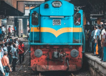 What’s the News You Have to Listen to Every Morning? A Herd of Elephants Crashes Into a Train, Killing Six!