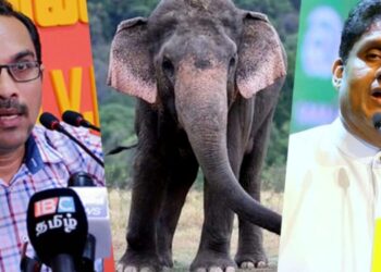 Tragic Elephant-Train Collision in Sri Lanka Sparks Parliamentary Debate on Prevention Measures