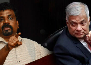 Udaya Gammanpila Confident Government Won’t Act Against Ranil Wickremesinghe Over Batalanda Incident