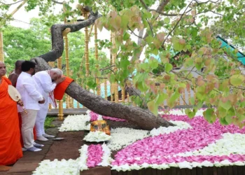 PM Modi Visits Sacred Jaya Sri Maha Bodhi Tree in Anuradhapura During Sri Lanka Trip