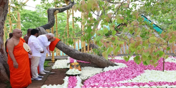 PM Modi Visits Sacred Jaya Sri Maha Bodhi Tree in Anuradhapura During Sri Lanka Trip
