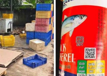 Fake Canned Fish Factory Busted in Negombo: 700 Packs Seized by Consumer Affairs Authority
