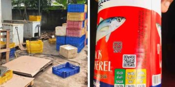 Fake Canned Fish Factory Busted in Negombo: 700 Packs Seized by Consumer Affairs Authority