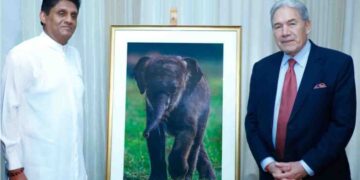 Minister Winston Peters Meets Opposition Leader Sajith Premadasa, Receives Symbolic Elephant Calf Photograph