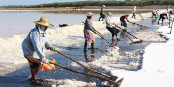 Salt Shortage in Sri Lanka Due to Import Delays, Prices Soar Up to Rs. 500 per Kilo