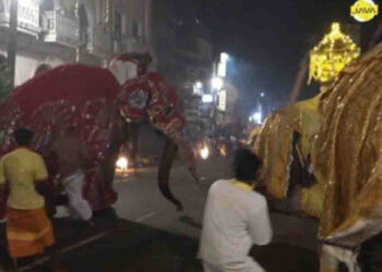 Tense Moment at Badulla Mahinda Perahera as Elephant Becomes Agitated During Procession