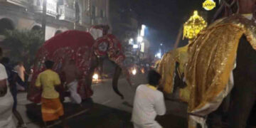 Tense Moment at Badulla Mahinda Perahera as Elephant Becomes Agitated During Procession