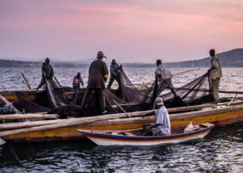 Navy Fires Warning Shots During Illegal Fishing Operation in Kuchchaveli; One Injured, Probe Underway