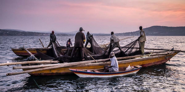 Navy Fires Warning Shots During Illegal Fishing Operation in Kuchchaveli; One Injured, Probe Underway