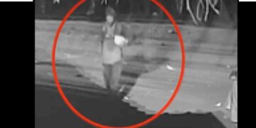 CCTV Footage Released of Suspect in Macaw Parrot Theft Attempt at Dehiwala Zoo