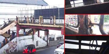 Neglected Maradana Flyover Raises Safety Fears After Roof Damage from Heavy Rains