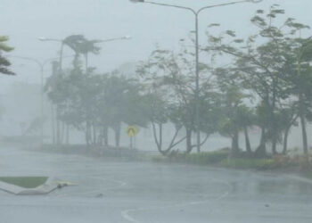 Strong Wind Warning Issued: Over 7,200 Affected by Adverse Weather Across 14 Districts