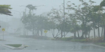 Strong Wind Warning Issued: Over 7,200 Affected by Adverse Weather Across 14 Districts