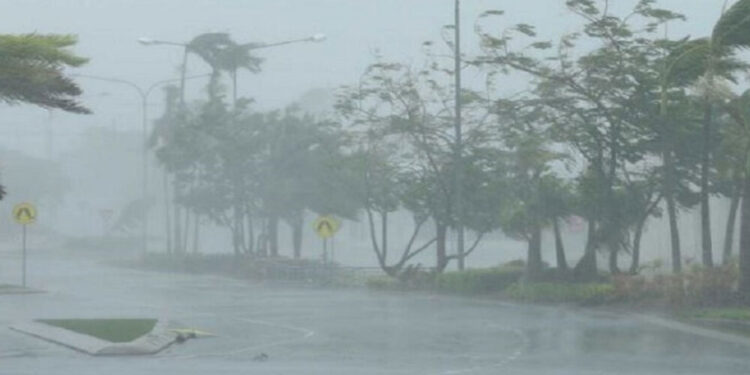 Strong Wind Warning Issued: Over 7,200 Affected by Adverse Weather Across 14 Districts