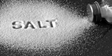 Over 100 Containers Stuck at Colombo Port Due to Delays in Salt Quality Checks, Warns Transport Association