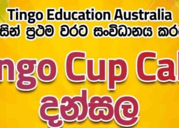 Tingo Education Australia Hosts First-Ever Cup Cake Dansala on Poson Poya Day in Matara