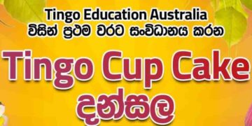 Tingo Education Australia Hosts First-Ever Cup Cake Dansala on Poson Poya Day in Matara