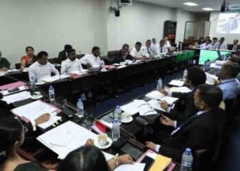 Sri Lanka Electricity (Amendment) Bill Cleared by Committee for Second Parliamentary Reading